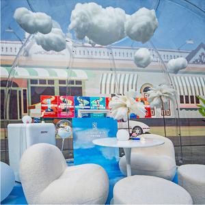 Contemporary Design Igloo Bubble Tent Sunroom Waterproof Dome Tents