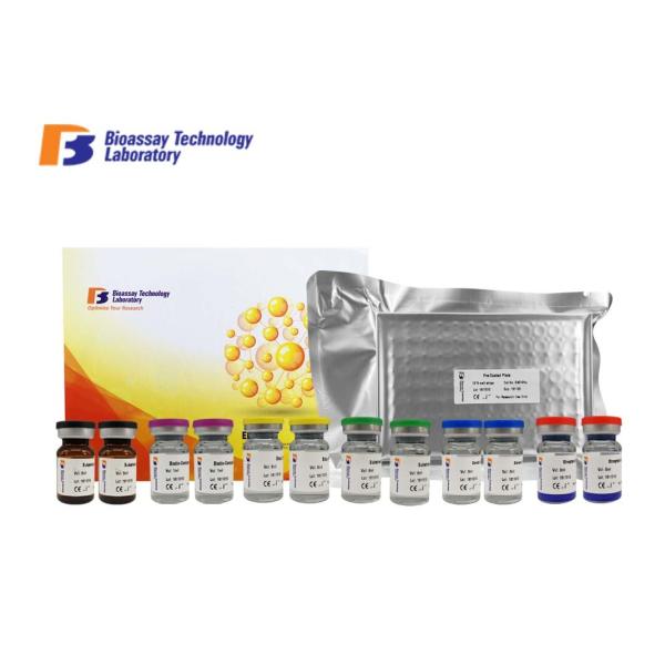 96 Wells / 48 Wells ELISA Assay Kit High Specificity PRKA3 ELISA Kit For