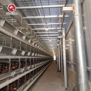 Featuring Four Tiers Ventilated Automatic Layer Cage System For 120 Birds In