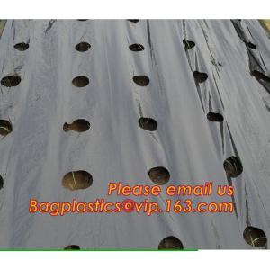 Perforated plastic mulch film save drilling troubles,perforated agricultural