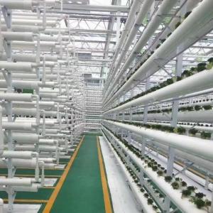 Large-Scale Farming Greenhouse Hydroponic System featuring Temporary Heating