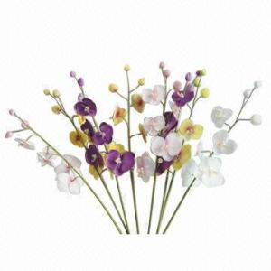 China Real Touch PU Phalaenopsis on sale