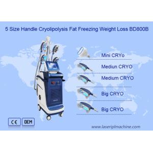 360 Angle Vertical Double Chin Cryolipolysis Slimming Machine