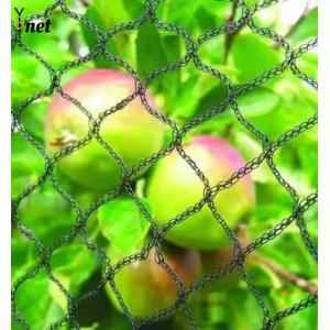 1m - 500m Vineyard Bird Netting Anti UV Bird Netting For Tomato Plants