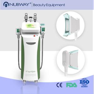 China slimming machine / cryolipolysis / cryolipolysis machine with CE&ISO on sale