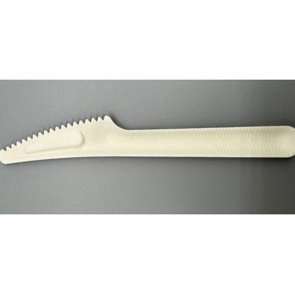 Eco-Friendly Compostable Pulp Paper Disposable Steak Cutter Serrated Knife