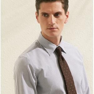 Spring 100% Cotton Fabric Men's Formal Dress Shirt Slim Fit Business Shirt Full