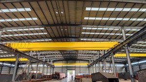 Multiple Models 50 Ton Overhead Crane