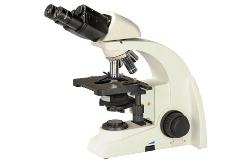 Binocular 40X 1000X Binocular Phase Contrast Light Microscope Inverted