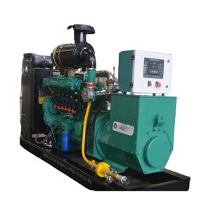 10kw-300kw Biogas Natural Gas Generator Set