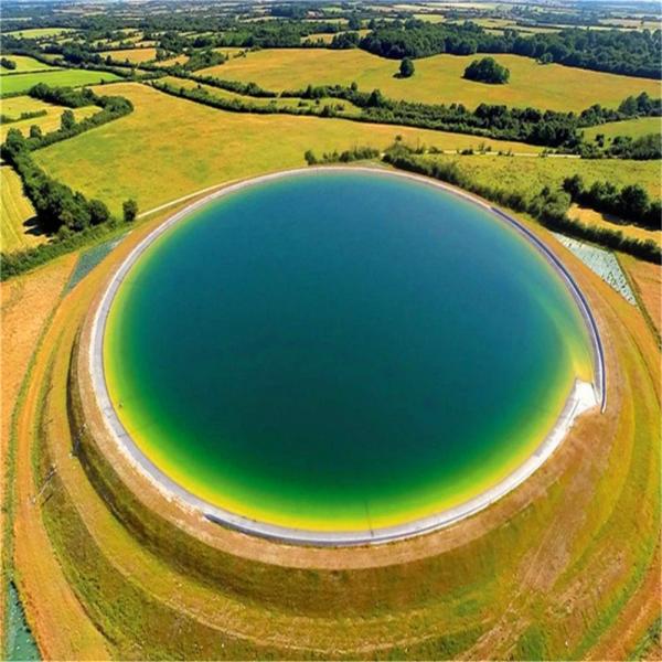 Buy Chemical Resistant Hdpe Geomembrane for Fish Farm Pond Liner at wholesale prices