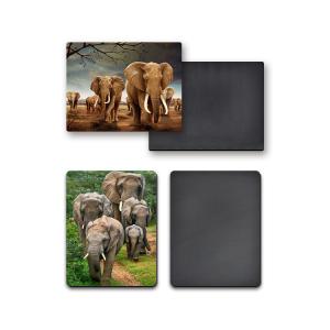 Light Weight Souvenir 3D Fridge Magnets Heat Resistant Oil Resistance