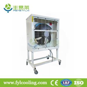 China FYL Portable spraying exhaust fan/ blower fan/ ventilation fan on sale