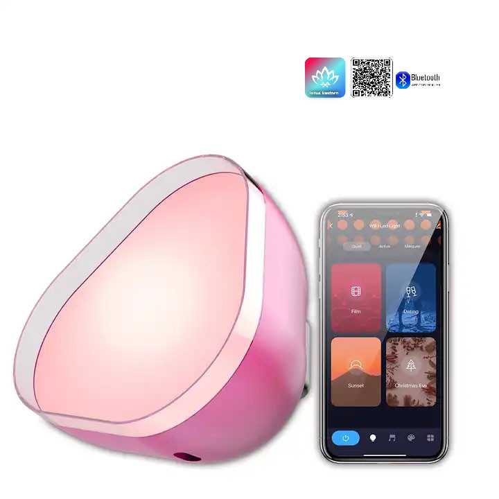 Quality USB Charging Atmosphere LED Lights RGBIC Bluetooth Customized for sale