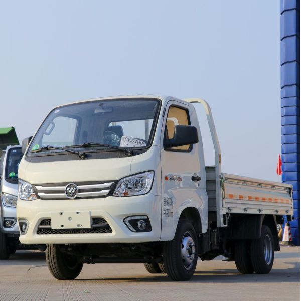 Buy Futian Ruiwo Xiaojingang Commercial Vehicle Truck Dump Pickup Truck Gasoline at wholesale prices