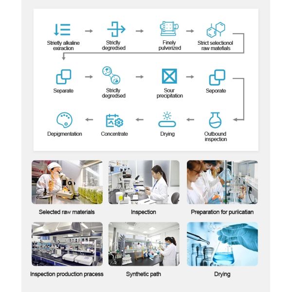 ACH/aluminum Chlorohydrate Solid Powder As Flocculant for Water Treatment/ CAS 12042-91-0