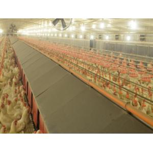 Modern Design Chicken Layer Broiler Poultry Farm Building