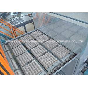 Paper Egg Tray Making Machine , Pulp Molding Machine