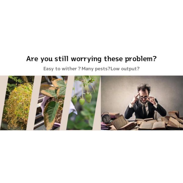 40W Light Bar Module AC110V 220V COB LED Chip For Indoor Greenhouse Plants