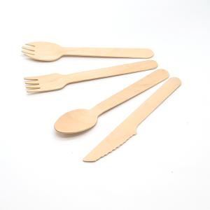 Disposable Biodegradable Wooden Cutlery Spoon 160mm