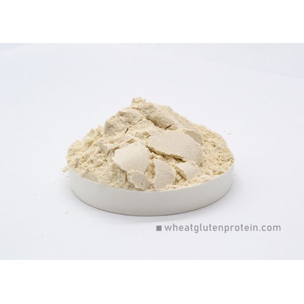 Buy Water Insoluble Dried Vital Wheat Gluten Protein Powder 25 Kg / Bag at wholesale prices