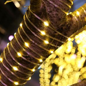 100/200/300 LED Rope String Lights Waterproof Copper Wire Tube Fairy Garland