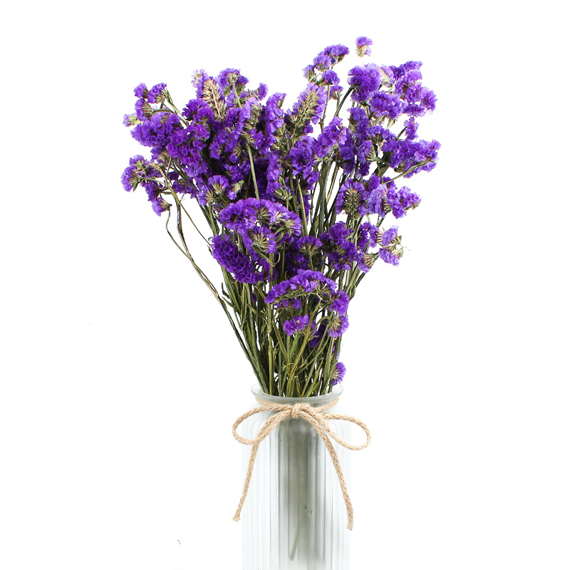 Fashion Style Beautiful Dried Flowers Statice Limonium Forget Me Not