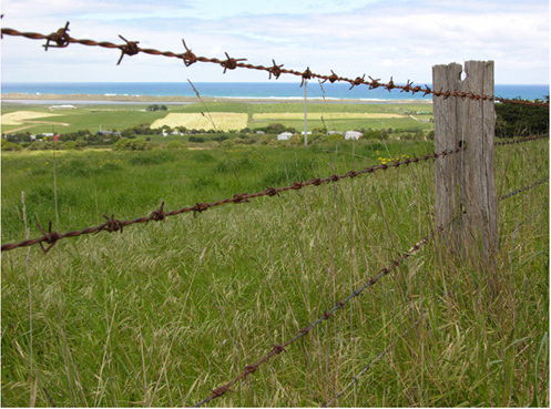 High Tension Double Twist 10 KG Galvanzied Bared Wire 14# Diameter