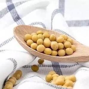 100% Natural Soybean Protein Fiber Milk Protein Fiber For Spinning