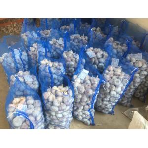 HIGH QUALITY CHINA FRESH GARLIC