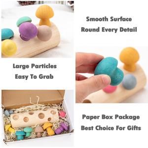 Educational Developmental Shape Wooden Mushroom Picking Game