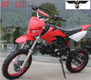 D7-12e 110cc Electric and Kick Start Dirt Bike