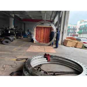 Big Forged Flanges Stainless Steel Carbon Steel Brass Forged Flange