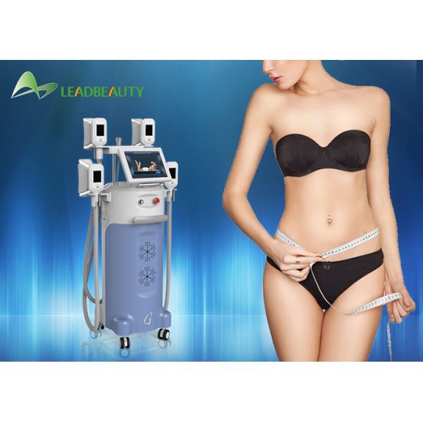 Buy Newest CE certification 2000W cryolipolysis machine fat freezing slimming machine at wholesale prices