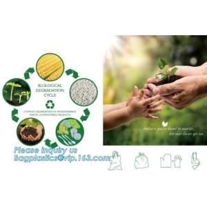 FDA CERTIFICATE BIODEGRADABLE WHEAT STRAW PLATE, Dinner Plate Wheat Straw