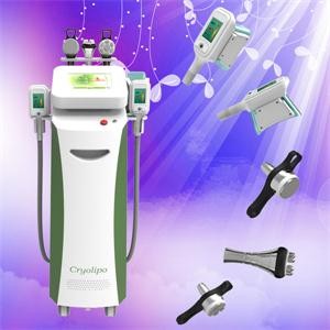 Buy 2014 latest and hottest Cryolipolysis Slimming Machine with touch screen at wholesale prices