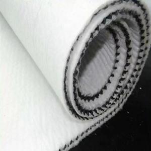 7mm Prefabricated Composite Drainage Geonet for Density Polyethylene Plastic