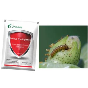 Quality Bacterial Bacillus Thuringiensis Tea Tree Insecticide For Killing Nematode Lepidoptera for sale