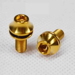 M5 * 12 Titanium Fasteners Gr5 Titanium Hex Hole Bolt Cap Screw With Weight