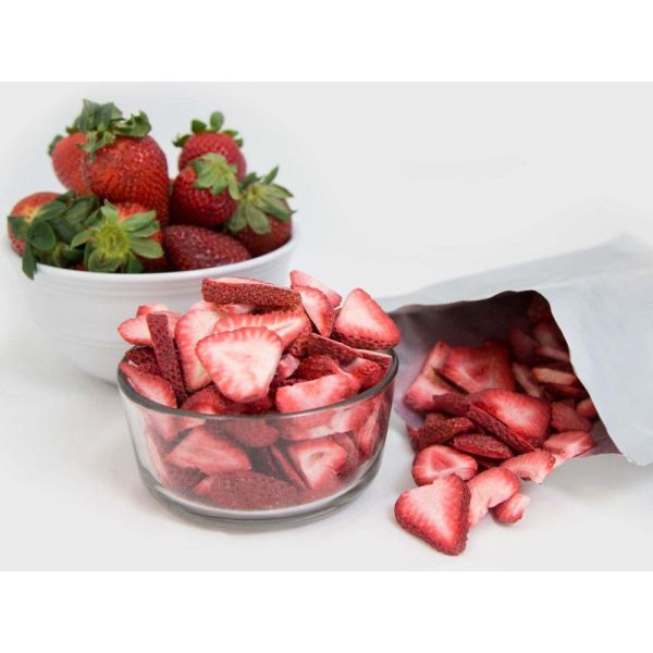 1000kg Freeze Drying Machine