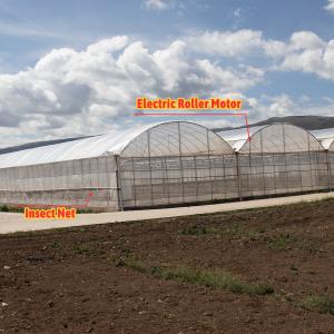 24x40m Galvanized Steel Greenhouse with 150micron PE Film