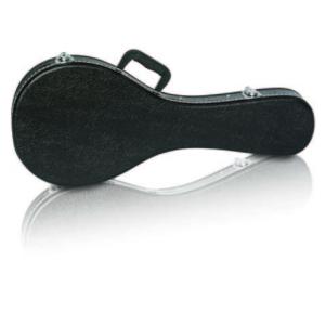 Economic A Type Mandolin Hard Case Embossed Vinyl Covering Heavy Duty Bronze Hardware