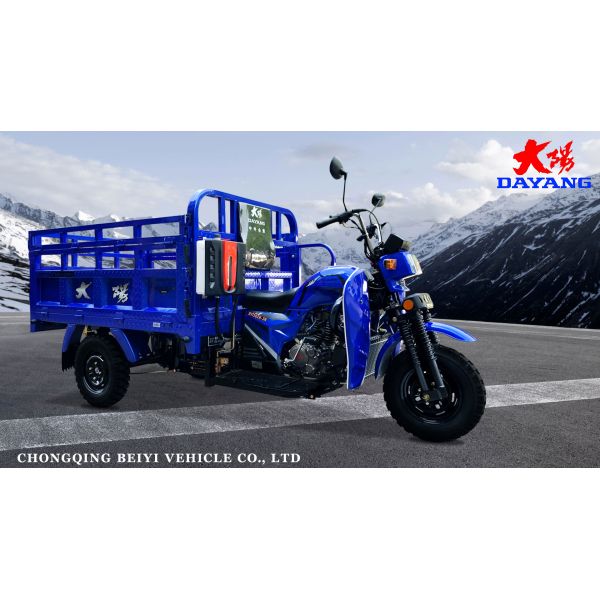 12V Voltage 175cc Heavy Loading Motorized Cargo Tricycles for Cargo Transportation