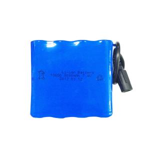 Pollution Free 7.4V 8000mAh Sony 18650 Lithium Ion Battery