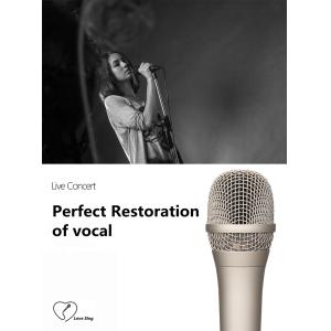 Metal Mesh Head wired Studio Condenser Microphone 23.5mm*180mm