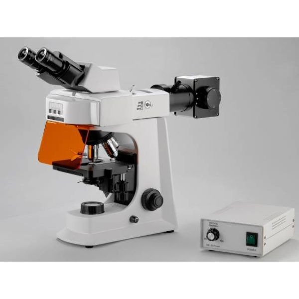 White Trinocular Lab Biological Microscope With Mechanical Stage