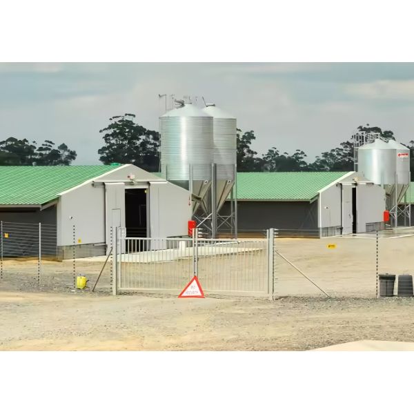 Prefabricated Steel Frame Poultry House with Fully Automated Chicken Farming