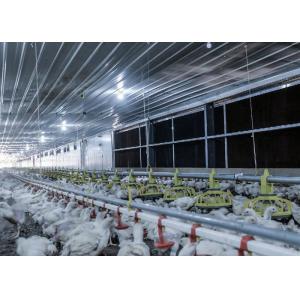 Broiler Flooring Raising Chicken Farm Equipment 4 Drinker /M