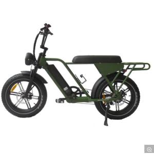 48V250W-500W-750W-1000W Motor Step-Through Electric Bikes with Aluminum Alloy