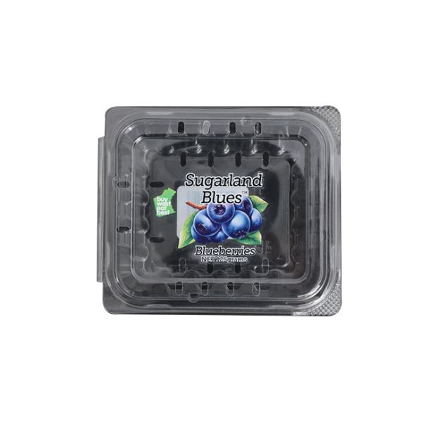 Buy PET Cheap Injection Mold Injection Mold Products Transparent Food Packaging Box at wholesale prices